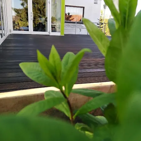 Froehlich-hoeche Hotel