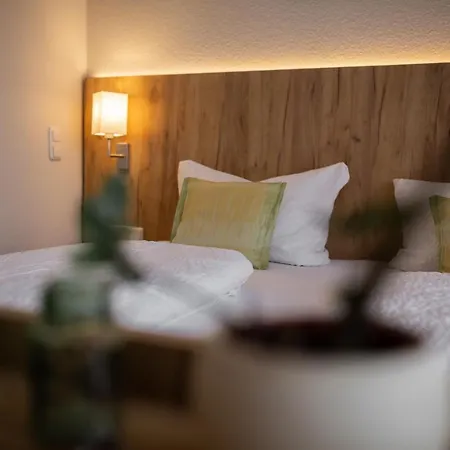 Froehlich-hoeche Hotell 3*