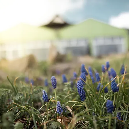 Froehlich-hoeche Hotell Uslar