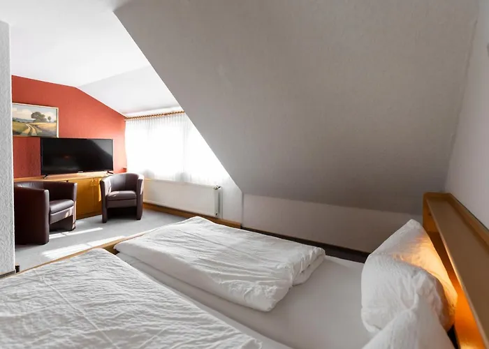 Ξενοδοχείο Froehlich-hoeche 3*