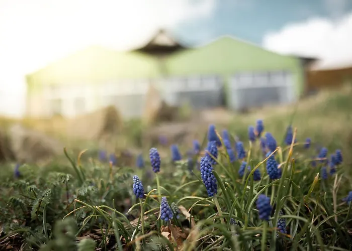 Froehlich-hoeche Ξενοδοχείο Uslar